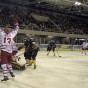 ©calyx_Pictures_swindon Wildcats v Bracknell 12-10-13_1213