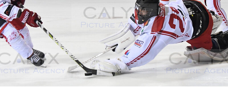 ©CALYX Pictures  
Swindon  Wildcats v Invicta Dynamos