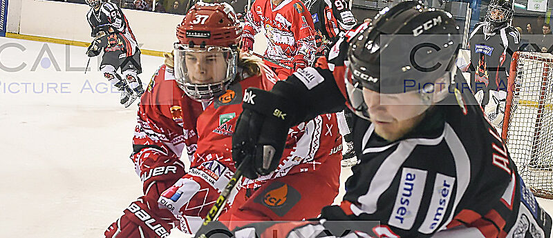 2416 ©Calyx Picture Agency 
Swindon Wildcats v Cardiff Fire